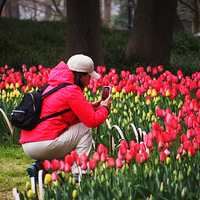 ����̫����