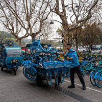 ���֣�������