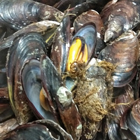 ���۷���