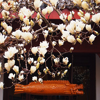 ���³�������̧ͷ