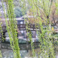 ������⣬����������ǧ���ٻ������� ��???