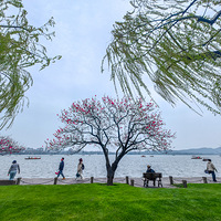 ���մ��֣�ŨŨ�Ĵ�ɫ�ڰ׵��������Һ�����������Ƣ��