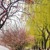 �Һ�������һ��