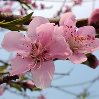 �ڴ�ů����֮ʱ���ع˹�ȥ��19¥��������