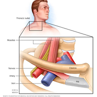 ���������������ߵ�ʹ���������������ڿơ������ơ��ǿơ���