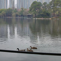 ��󻪼ҳص�ԧ�졢���ء�ҹ�ء�ҰѼ���G�f��piti���ȡ�