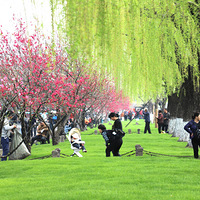 ����֮�������׵�