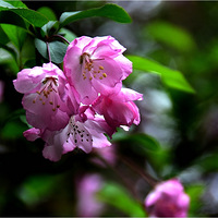 ��˿���Ļ�����