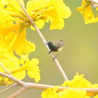 �ƻ�����