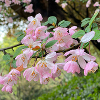 �����ĺ��Ļ�