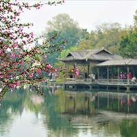 ����ӣ��ʢ��