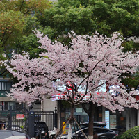 ���ſڵ�ӣ��