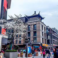 ����ŨŨ���������н�ӣ���������ţ�