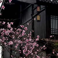 ������棬�һ���Ц��