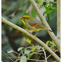 ���ϵĺ�����˼��