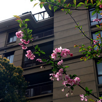 ��ǰ��ӣƮ��