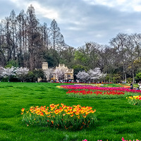 �����緱����2026̫���������㻨չ��