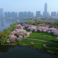 ���˿��Ź�侺�ӣ��