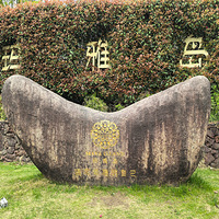 ������ŵ�����ʢ����