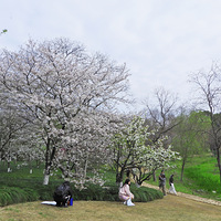 �ڹ�̶һ����