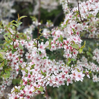 �Ժ���Լ���һ��