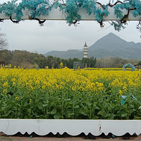 ���ݽ�����Ҷ�Ŵ��ˣ���Ů��