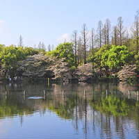 ��Ժ���һ��