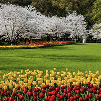 ��������Ҫ��С����������ϵ