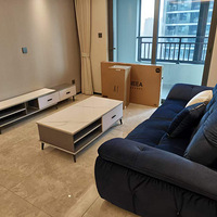 �����ƹ��������ӳ���