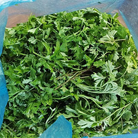 �������@