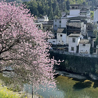 ��2026ɹ�μǡ�����Զ�У�������Ƭ�˻�����������������