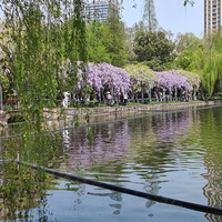 ���ҳص����ٻ�����