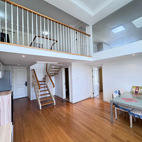 �������쿥���������loft