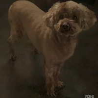 ��������ʧ13������ӣ�18668221295��л