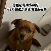 �ҵĹ�4��7�ն������Ѿ�����������