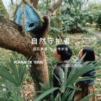 ����2026����Я���й�ʪ�ز���ݣ�����"��Ȼ�ػ���"����֮��