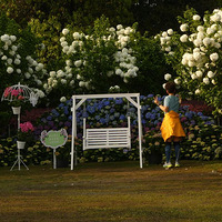 ������ŵ������򻨺�