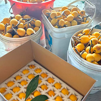 ���ܰ�ɳ�������200����ˣ�Ҫ�����