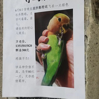 �ҵġ������񡱷��߰�����ˡ�������50��оƬ����ʦ����Ѱ��