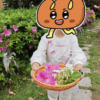 �а��׶��ճ�������Ȼ��������ٻ���ƪ��