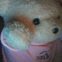 ����������,�����మ��