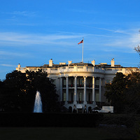 �����İ׹�