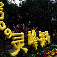 ��÷����Ū���������