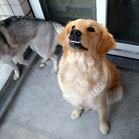 ��ȥʽ��ȥʽ��ȥʽ��ȥʽ