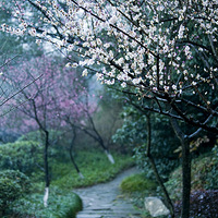 ÷��--�ҵ���ҵ