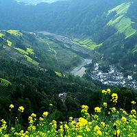 �����ִ�͡���3��14��-3��15�ա���կ���� �㽭�续 ���Ͳ˻���ѡ��ʯ̶���ѱ�32��