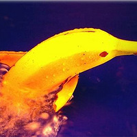 ����һ��ͼƬ���д���