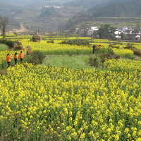 ����Դ������3��27-29�й���������壭��Դ���ٻ����Ͳ˻�ȫ��ʢ����