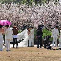 ����ӣ��ʢ�� ������������