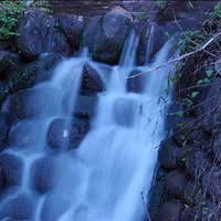 �²������ں�������